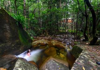 Daintree Cascades - Cape Tribulation - 6