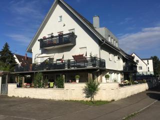 Bio-Inn am See - Friedrichshafen - 6