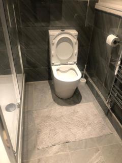 96TR Comfy room with double bed Edmonton Green - 1
