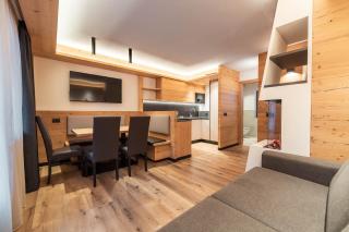 Cesa Planber Apartments Mountain View SKI-IN SKI-OUT - 8