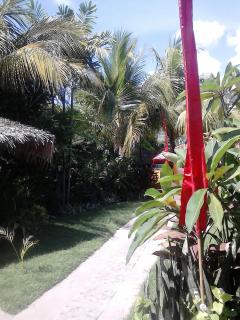 Pande Guest House - Pemuteran - 3