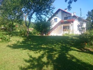 Apartment Manda - Rakovica - 1