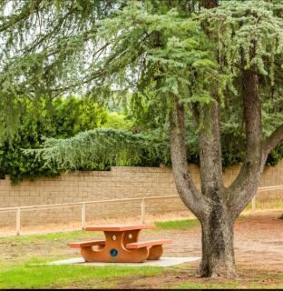 wonderful 1bd-2bathroom home WIFI high speed internet 20 minutes to Malibu beach - 3