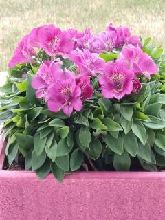 Chambres D'hôtes De Kerantum - 8