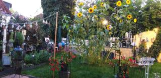 Family-friendly accommodation - 2