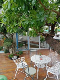 Phitsanulok Orchid Hotel - 7