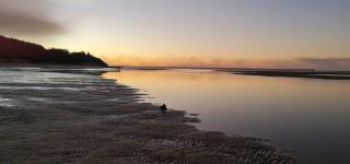 Large Pool Newly Renovated Apartment Walk to Whale watching and beaches - 5