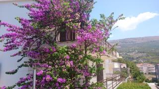 Beautiful Apartment Jukic - Podstrana - 8