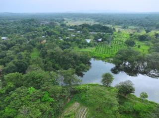 Elephas Nature Resort - 9