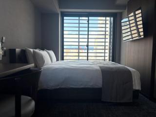 hotel bolam kyoto - 9