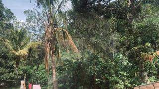 Nalinda's Homestay - 4