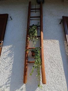 Il Rifugio della Baita - Viù - 2