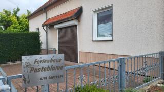 Ferienhaus Pusteblume - 7