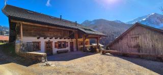 Le Carolien chalet traditionnel rénové - 1