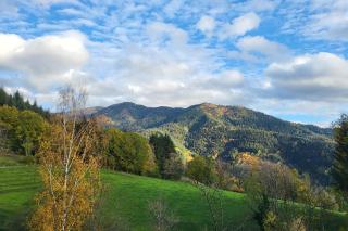 Steinweiden - 5