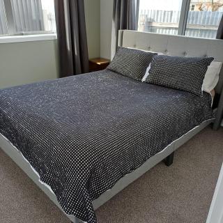 Modern & Comfort in Central Alexandra - 3