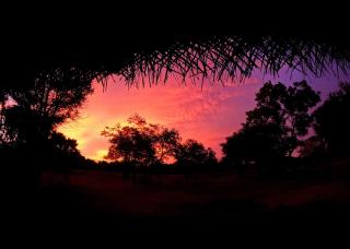 Safaria Lodge Wilpattu - 1
