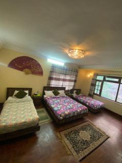 Eco Resort - 7