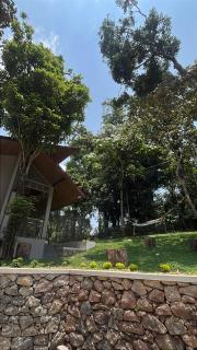 Lucas Rainforest - 7