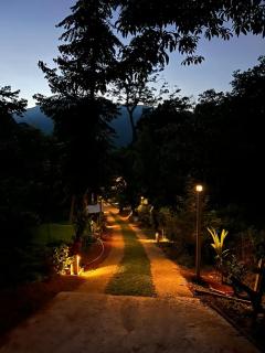 Lucas Rainforest - 5