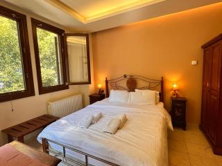 RASTONI Pelion - Vizitsa - 4