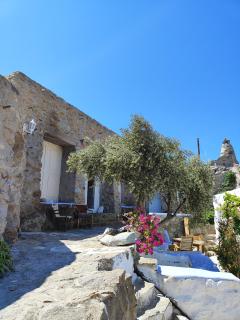 Artemis cottage - Plage de Super Paradise - 8