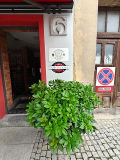 Apartament Dominikańska 6 - 8