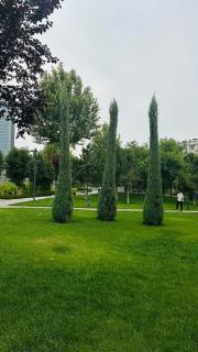 Бульвар резиденция третья - 3
