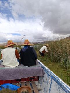 Urosflotantelodge - 5