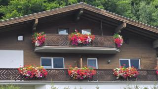 Top 2 by the Lake - 0