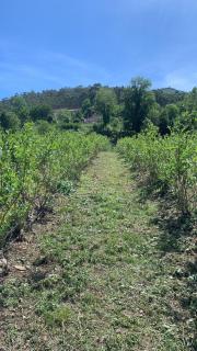 Casa de Rompecias - 7