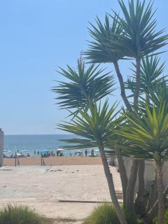 Thalassa Apartment 1 - 7