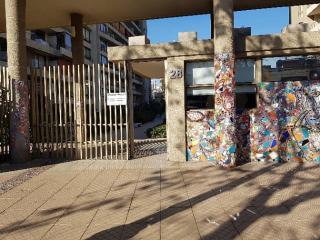 Refugio Bellavista vista al Costanera y los Andes - 8