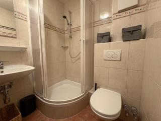 Alpen Studio Ellmau IV - 6