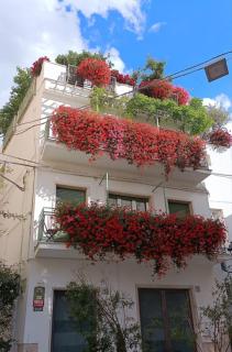 Casa Farella B&B in SUITES Apartments and Terrace Altamura x Matera - 8