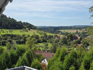'Tor zum Schwarzwald' Ferienwohnungen mit Sauna - 9