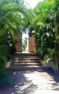 Beachfront Palm Haven - 8