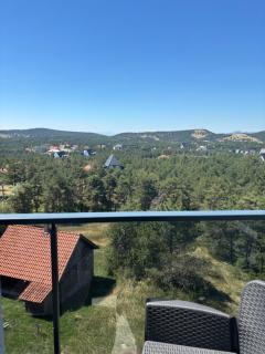 Apartman-Diva-Vukovic - Divčibare - 1