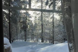 Traditional Finnish house - 5