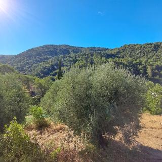 Calme et Campagne - 4