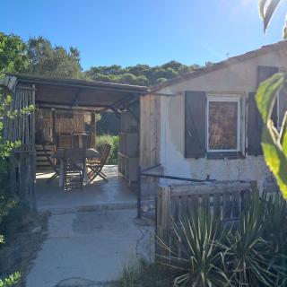 Calme et Campagne - 2