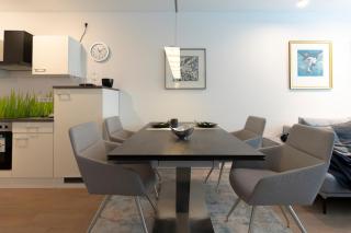 Beautiful apartment near CHIO Tivoli incl underground parking - 3