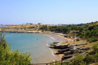 Green Garden Eco-Holiday - Vieste - 7