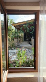 Tsinandali Wine cellar - 9