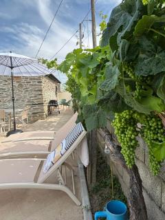 Casa da Miquinhas - 7