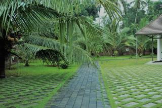 Sweet Hive Villa - 3