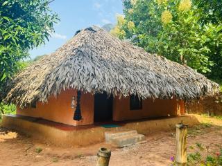 Jungle Farm House - 5