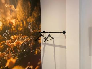 Bienenstube - 8