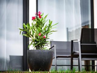 Panorama Luxury House - 7