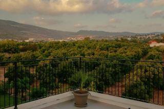 Zomer חופשה בטבע - 2